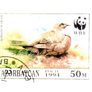 Framed Stamp Art - Caucasian Grouse - Endangered Wild Life